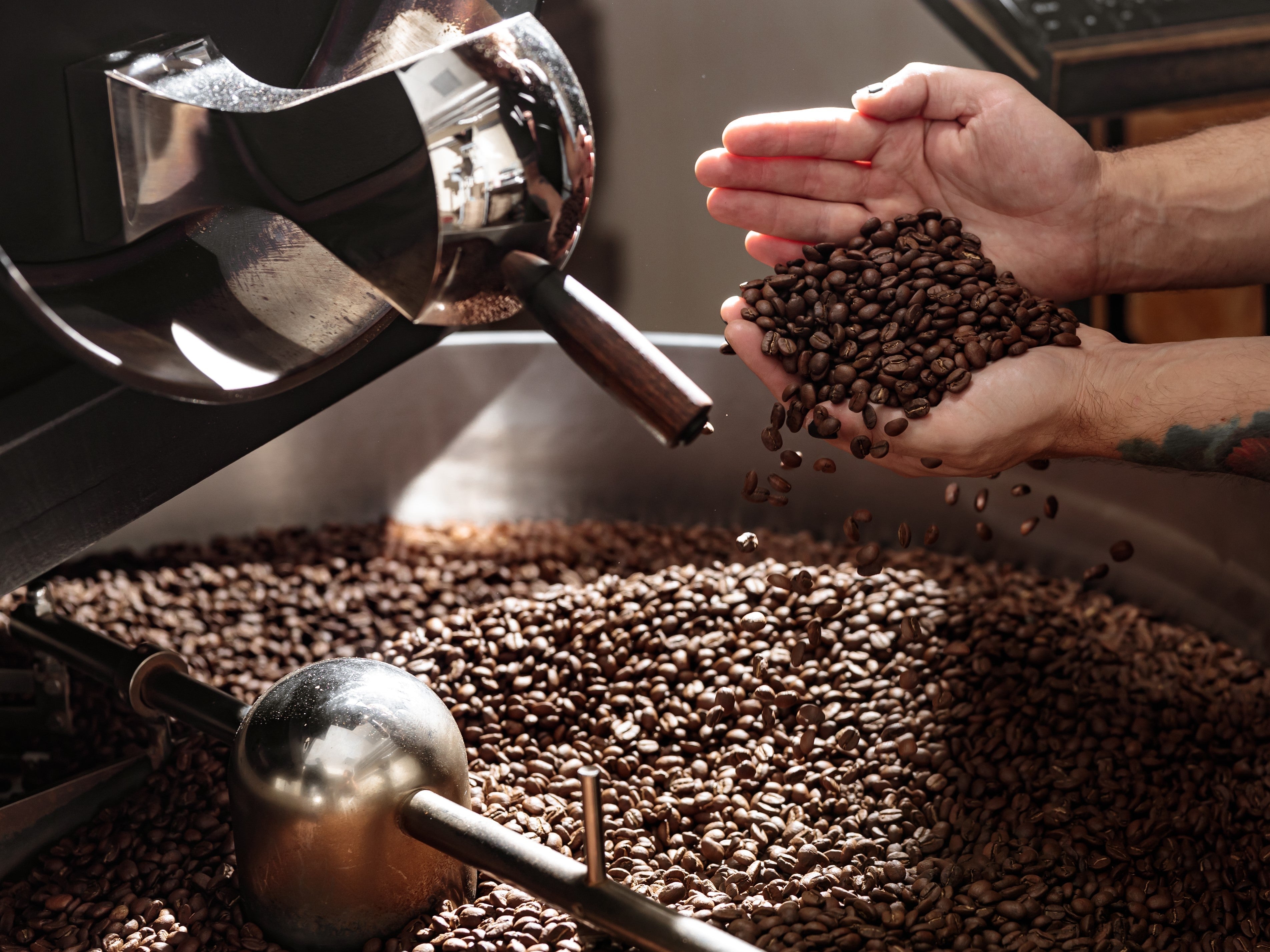 Cook Coffee Beyond the Buzz: Exploring Functional Coffee Roasting for Health & Wel ...
