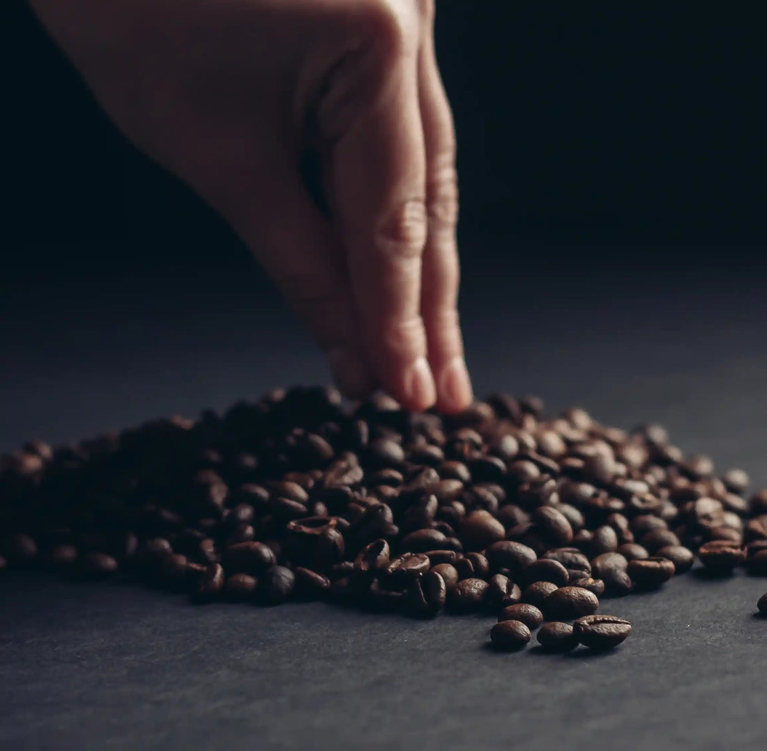 What Is Specialty Grade Coffee? The Top 6%, Explained in Plain English