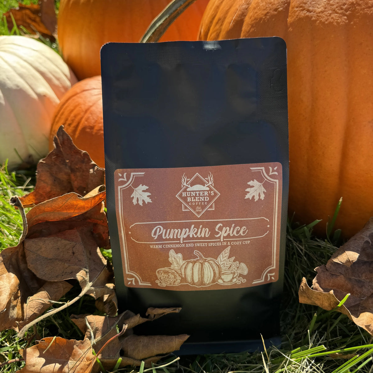 Pumpkin Spice Coffee | 5 lb - Limited Fall Release